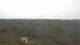 Moliets-et-Maa 09.06.2025 14:06