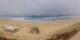 Seignosse 29.04.2025 14:07