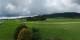 Les Taillères 15.07.2025 14:56