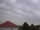 Billigheim-Allfeld 06.07.2025 14:47