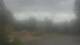 Madison, Tennessee 14.06.2025 14:31