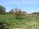 Dartmoor 30.04.2025 14:47