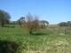 Dartmoor 29.04.2025 14:47