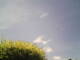 Burgstetten 05.07.2025 14:07