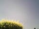 Burgstetten 29.04.2025 14:08