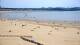 Royan 30.04.2025 14:09