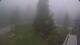 Cauterets 15.06.2025 14:08