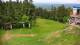 Zieleniec 20.05.2025 14:09