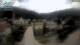 Reichraming 08.07.2025 14:09