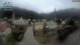Reichraming 08.06.2025 14:09
