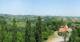 Glanz an der Weinstraße 14.06.2025 14:10