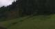 Going am Wilden Kaiser 08.06.2025 14:10