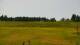Zieleniec 15.06.2025 14:10