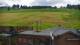 Zieleniec 08.06.2025 14:10