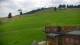 Zieleniec 03.07.2025 14:10