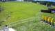 Zieleniec 01.07.2025 14:10
