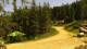 Karpacz 15.06.2025 14:10