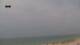 Carvalhal 14.06.2025 14:01