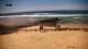 Aljezur 30.04.2025 14:21