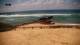 Aljezur 18.04.2025 14:21