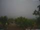 Benillup 29.04.2025 14:11