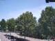 Julianadorp 15.06.2025 14:11