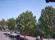 Julianadorp 30.04.2025 14:11