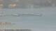 Balaruc-les-Bains 03.07.2025 14:11
