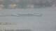 Balaruc-les-Bains 29.04.2025 14:11