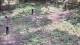 Milford, Ohio 16.05.2025 14:32