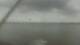 Arabi, Louisiana 14.06.2025 14:33