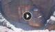 Petra 15.07.2025 14:22