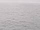 AIDAbella 24.06.2025 14:11