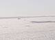 AIDAmar 30.04.2025 14:12