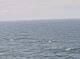 AIDAmar 24.06.2025 14:11