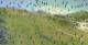 Valmeinier 15.07.2025 14:22