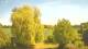 Mandelsloh 30.04.2025 14:12