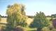 Mandelsloh 11.06.2025 14:12