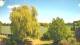 Mandelsloh 17.04.2025 14:12