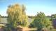 Mandelsloh 10.05.2025 14:12