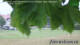 Weitnau 03.07.2025 14:57