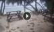 Anse Parnel (Mahé) 19.06.2025 14:13