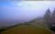 White Point 08.07.2025 14:58