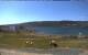 Big Bras d'Or (Boularderie Island) 11.05.2025 14:16