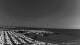Andora 02.07.2025 14:13