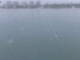 Detroit, Michigan 30.04.2025 14:48