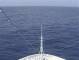 Costa Diadema 29.04.2025 15:14