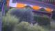 Bad Harzburg 14.07.2025 14:49
