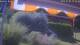 Bad Harzburg 03.07.2025 14:48