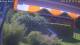 Bad Harzburg 09.05.2025 14:48